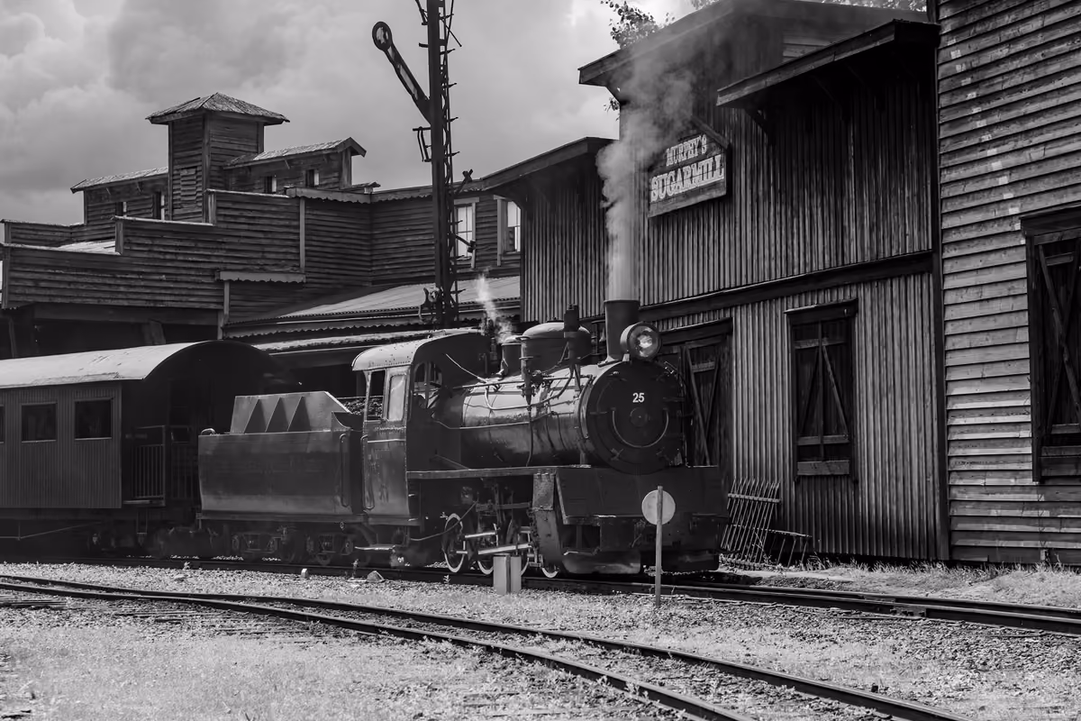 The Orphan Train Movement, 1854 to 1929: How It Worked, Town by Town